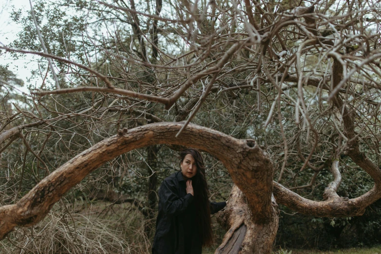 a woman standing in front of a tree, an album cover, pexels contest winner, wearing in black cloak, sydney park, dry trees, mai anh tran