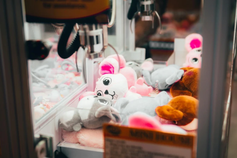 a close up of a stuffed animal in a machine, a cartoon, by Emma Andijewska, pexels contest winner, candy shop in a mall, bashful expression, brandon woelfel, games