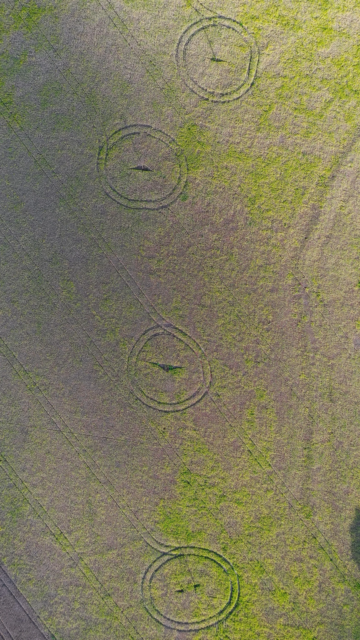 a bird's eye view of some circles in a field, two aliens around, low quality photo, smiley, high-resolution photo