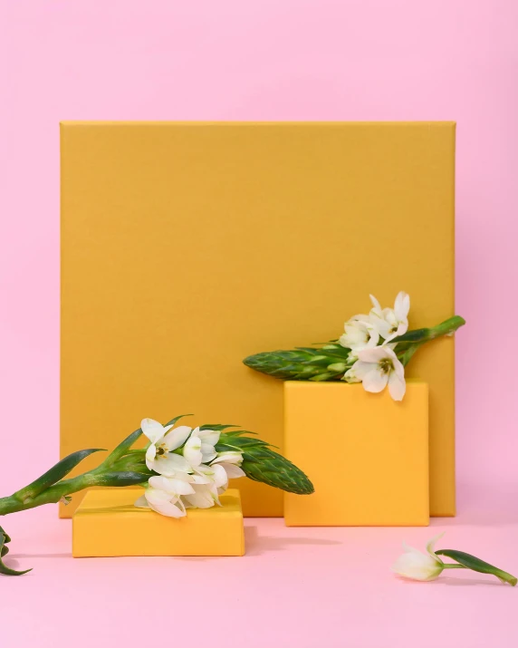 two yellow boxes with white flowers on a pink background, an album cover, trending on unsplash, square pictureframes, photoshoot for skincare brand, no - text no - logo, shaped picture