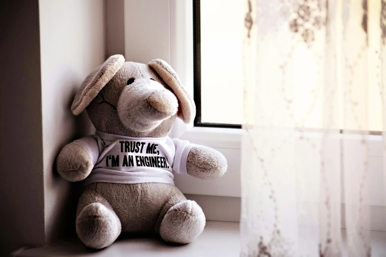 a teddy bear with a t - shirt that says trust me i'm an engineer, inspired by George Barker, unsplash, leaning against the window, bunny, grey, children's toy