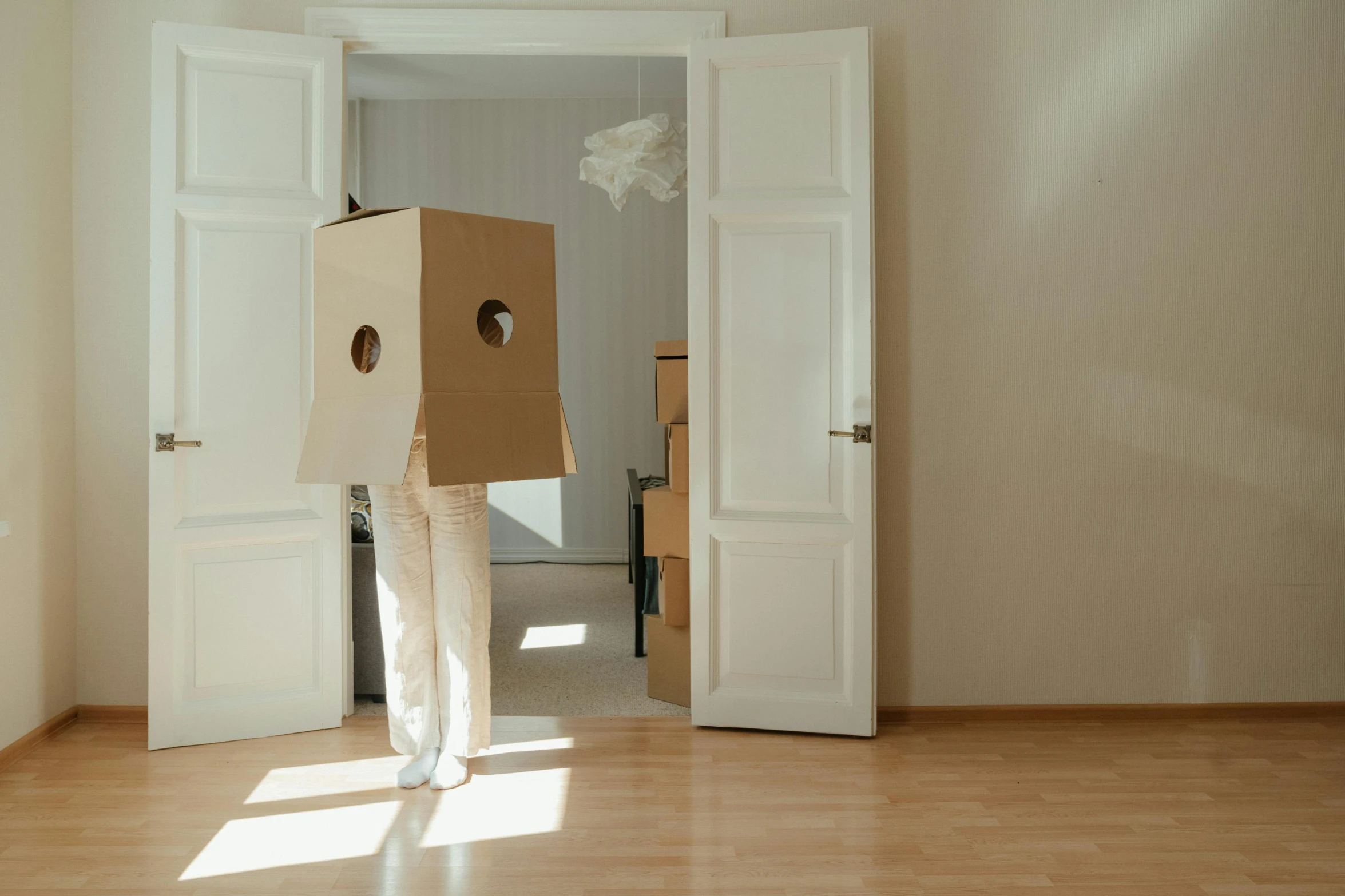 a person standing in a room with a cardboard box on their head, human - shaped, ignant, opening, furnished room