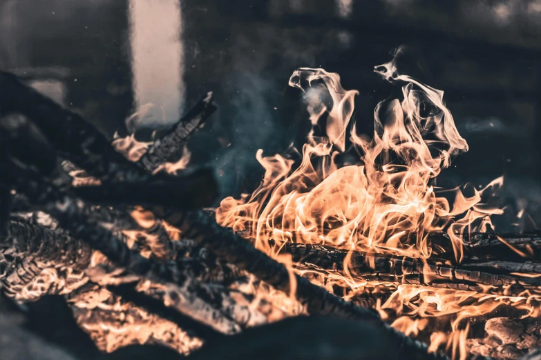 a pile of wood sitting on top of a fire, pexels contest winner, renaissance, avatar image, background image, opening shot, profile pic