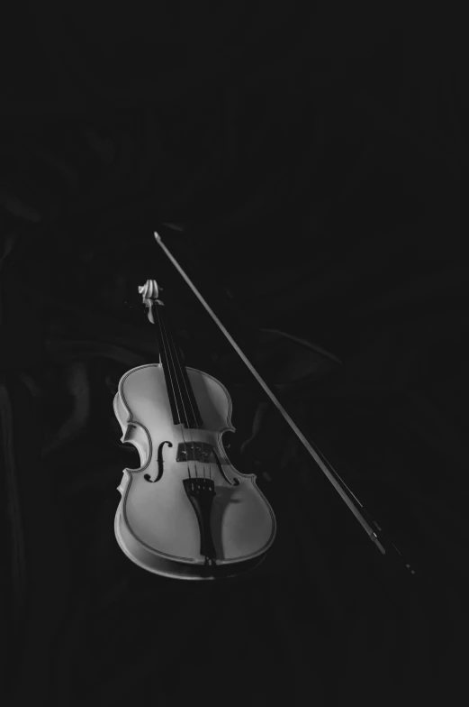 a black and white photo of a violin, inspired by Robert Mapplethorpe, unsplash, in the middle of the night, avatar image, somber colors, traditional