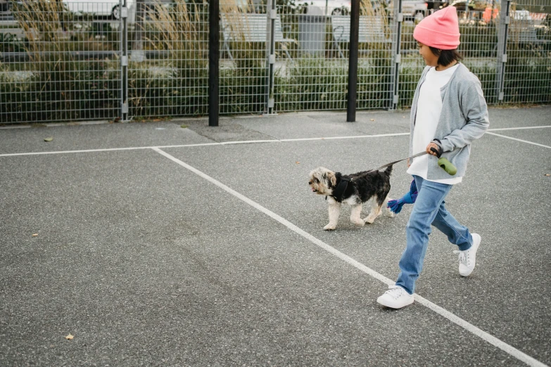 a person walking a dog on a tennis court, urban playground, gemma chen, holding paws, rectangle