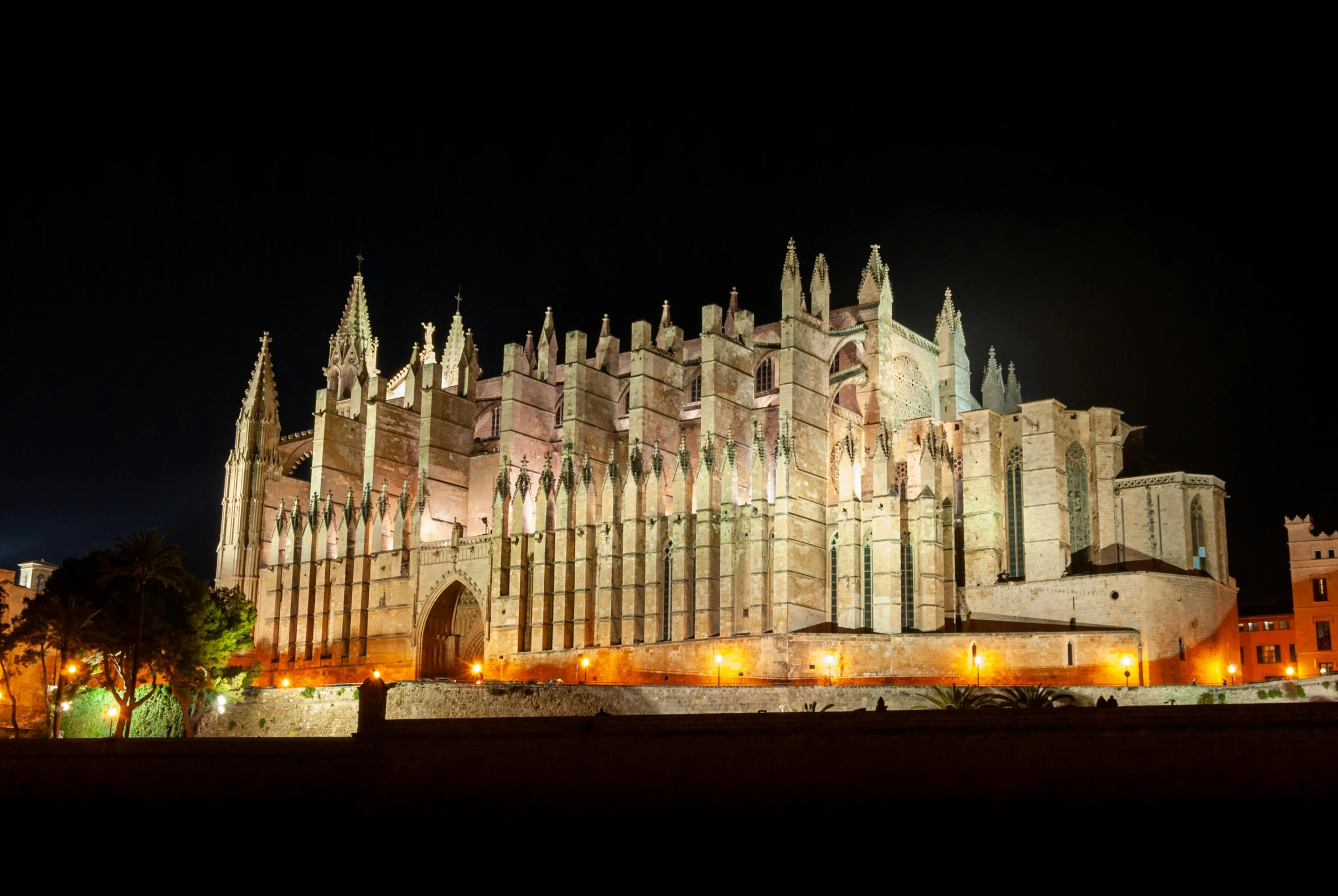 a very large cathedral lit up at night, inspired by Fede Galizia, pexels contest winner, gothic quarter, panoramic, high rendering, castles and temple details
