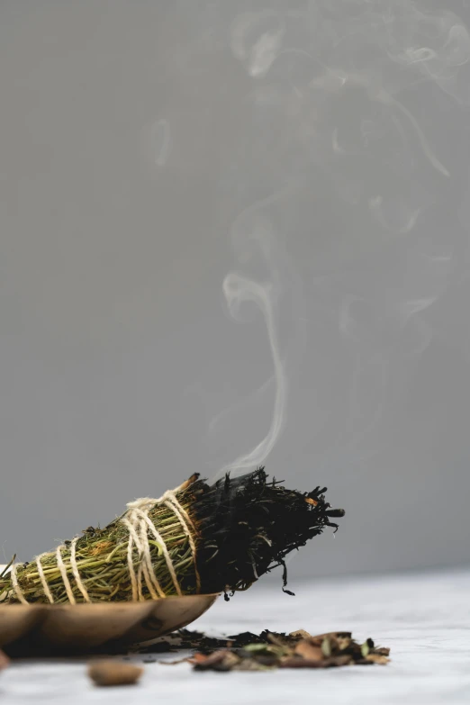 a smudger with smoke coming out of it, by Robbie Trevino, dried herbs, single long stick, stacked image