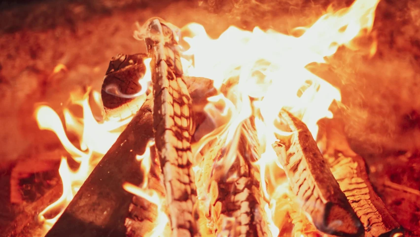 a pile of wood sitting on top of a fire, an album cover, pexels contest winner, hurufiyya, with some sausages on the fire, shot from below, warm shading, ayahuasca ceremony