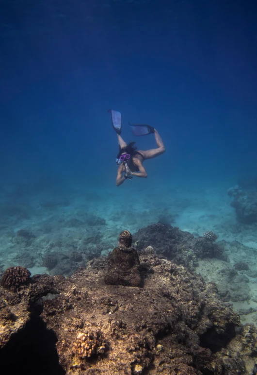 a person swimming in the ocean with a snorg, by Gwen Barnard, unsplash contest winner, coral sea bottom, moai seedling, sassy pose, o'neill cylinder colony