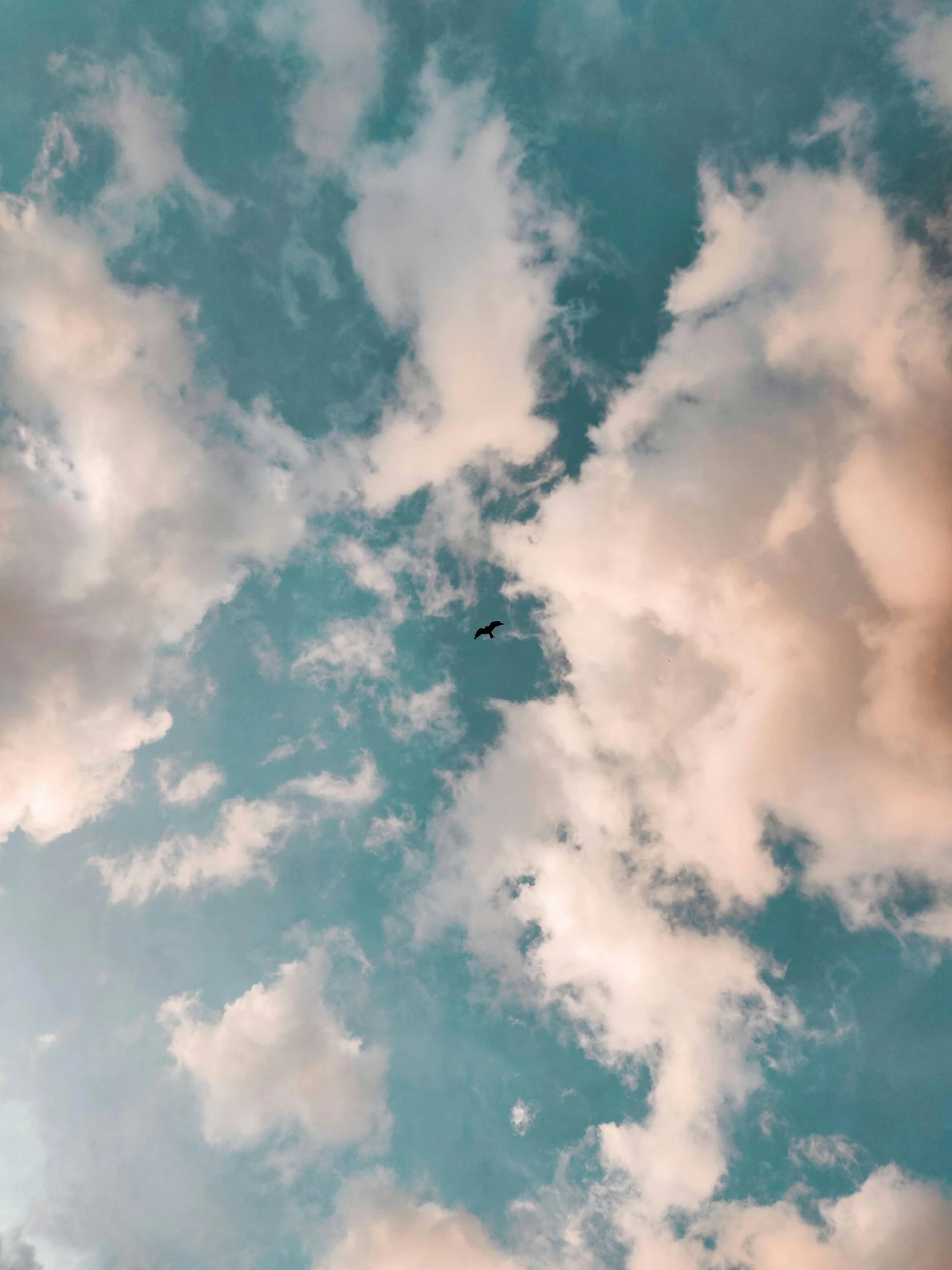 a plane flying through a cloudy blue sky, by Niko Henrichon, unsplash contest winner, aestheticism, ☁🌪🌙👩🏾, cotton candy clouds, flying around the bird, liminal space aesthetic