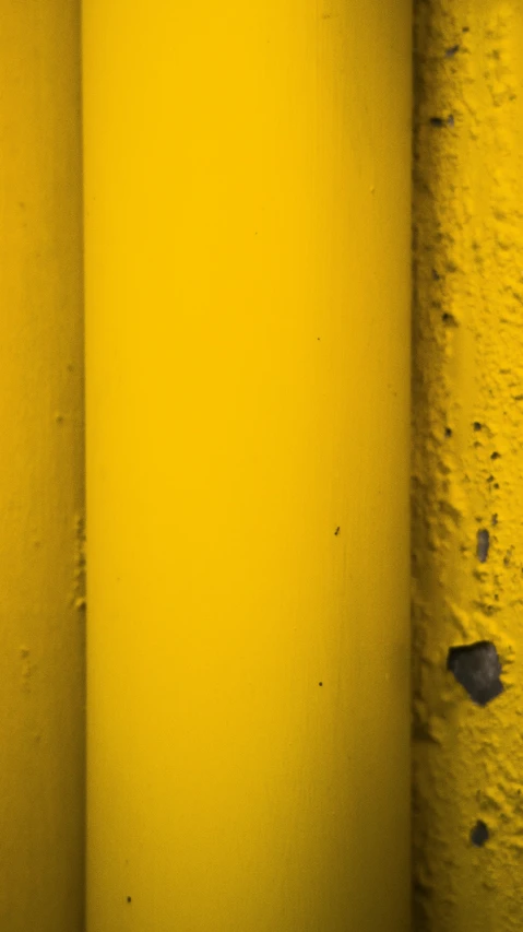 a couple of bananas sitting next to each other, a picture, by Doug Ohlson, postminimalism, abstract detail, painted metal, colors: yellow, tubes