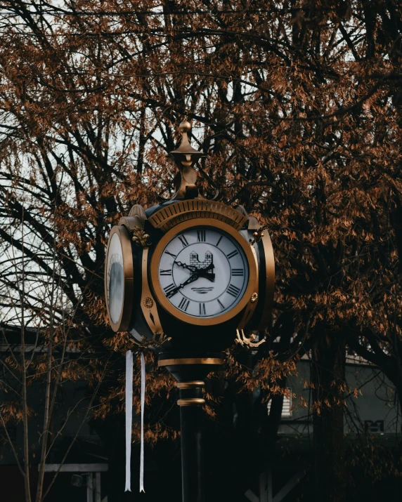 a clock on a pole in front of a tree, by Adam Rex, pexels contest winner, baroque, brown and gold, thumbnail, front lit, grey