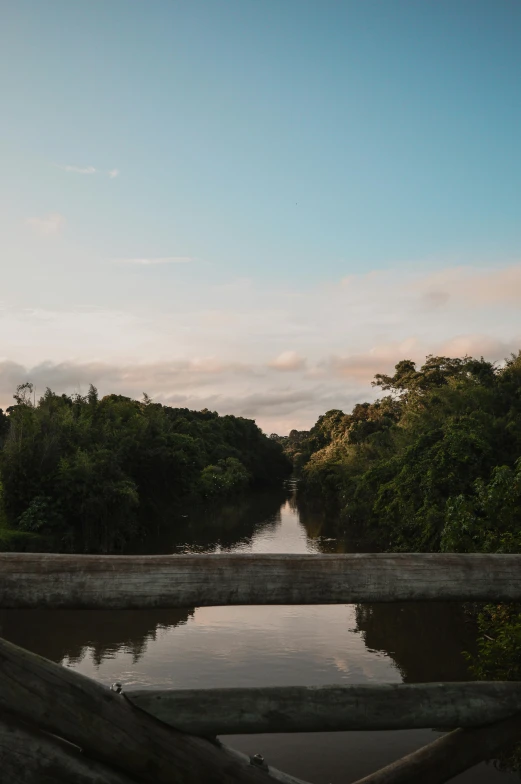 a bridge over a body of water surrounded by trees, an album cover, unsplash, hurufiyya, colombia, late afternoon light, canal, tubing