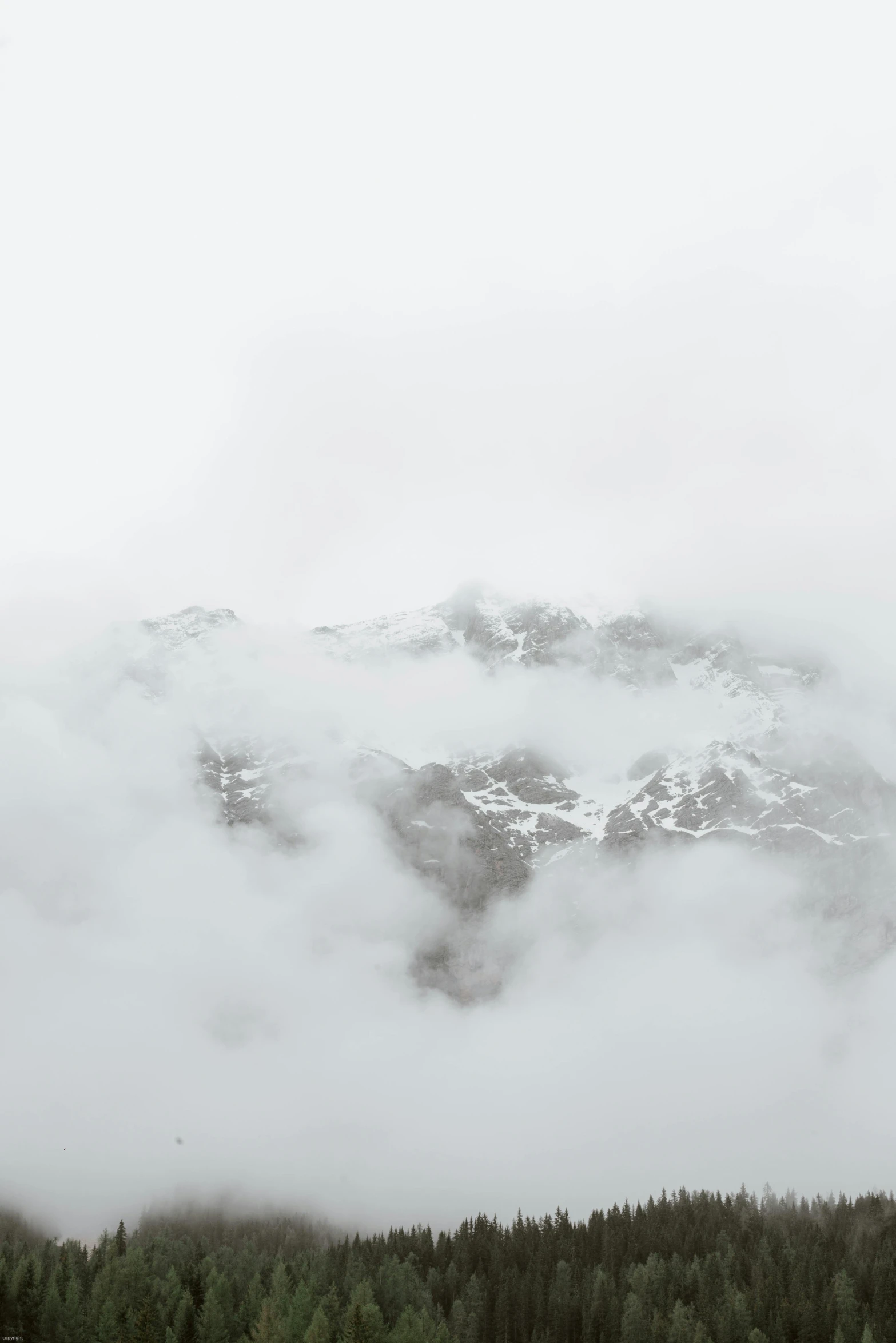 a herd of cattle grazing on top of a lush green field, an album cover, by Matthias Weischer, trending on unsplash, minimalism, walking above the clouds and fog, icy mountains, overcast gray skies, face made out of clouds