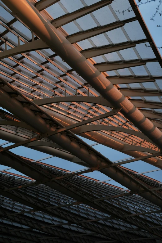 a group of birds flying over the roof of a building, inspired by Christo, unsplash, renaissance, steel pipes, morning detail, vaulted ceiling, translucent