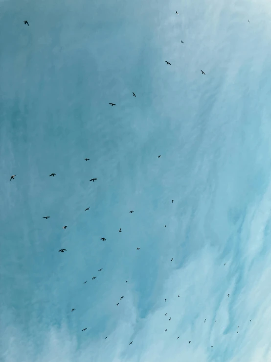 a flock of birds flying through a blue sky, by Jan Tengnagel, pexels contest winner, minimalism, bird\'s eye view, vultures, taken on iphone 14 pro, cai guo-qiang