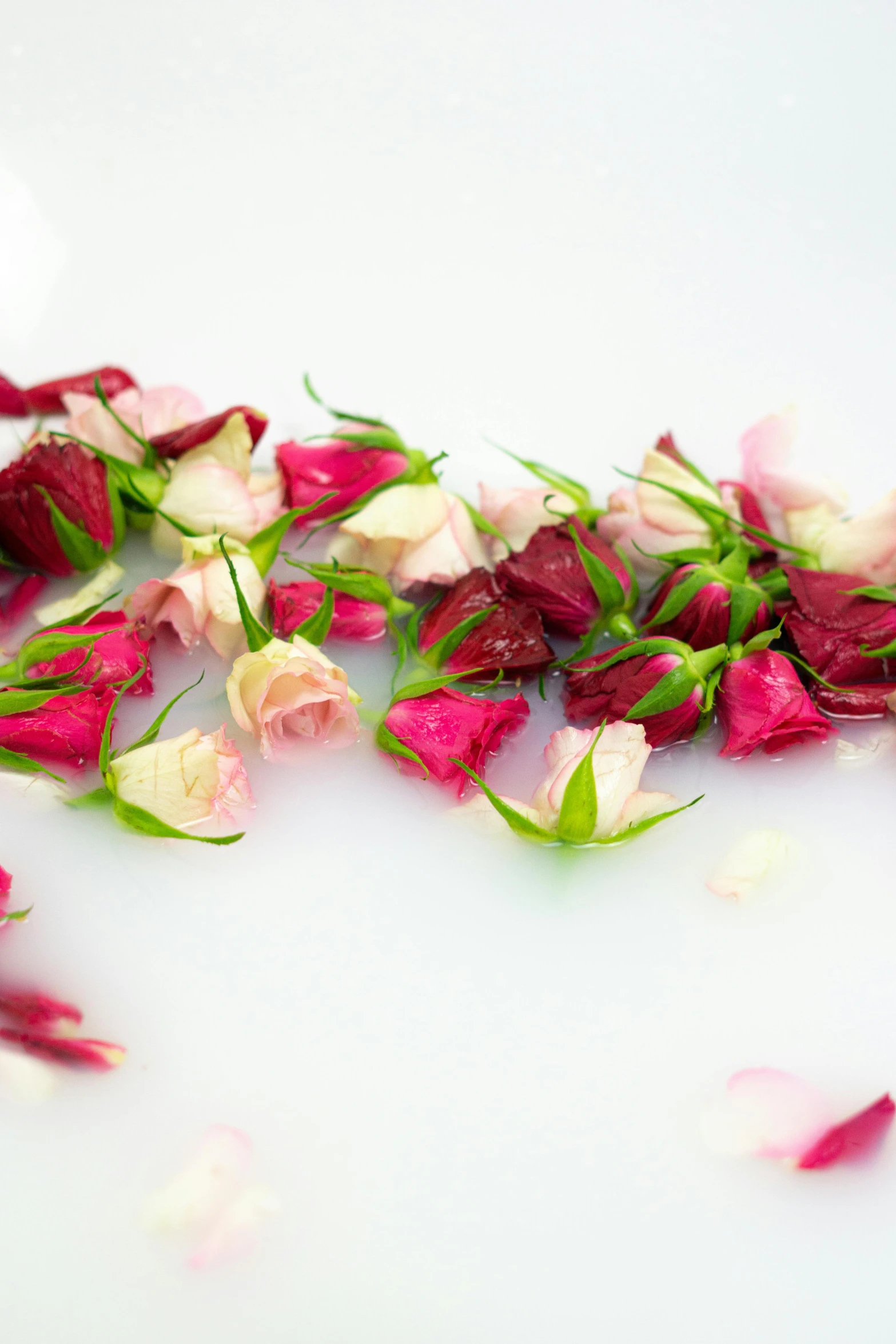 a white plate topped with pink and white flowers, dried blood, natural point rose', sparkling petals, professionally post - processed