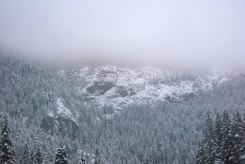 a group of people riding skis down a snow covered slope, foggy weather, trees and cliffs, winter photograph, far view