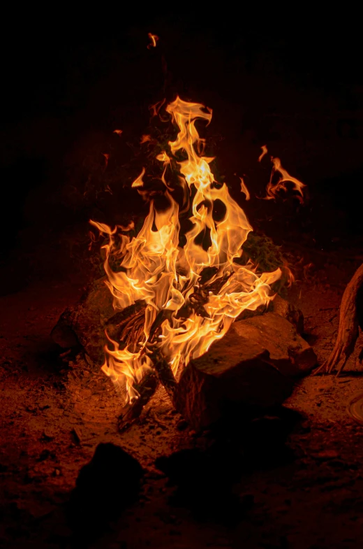 a dog that is sitting in front of a fire, at night time