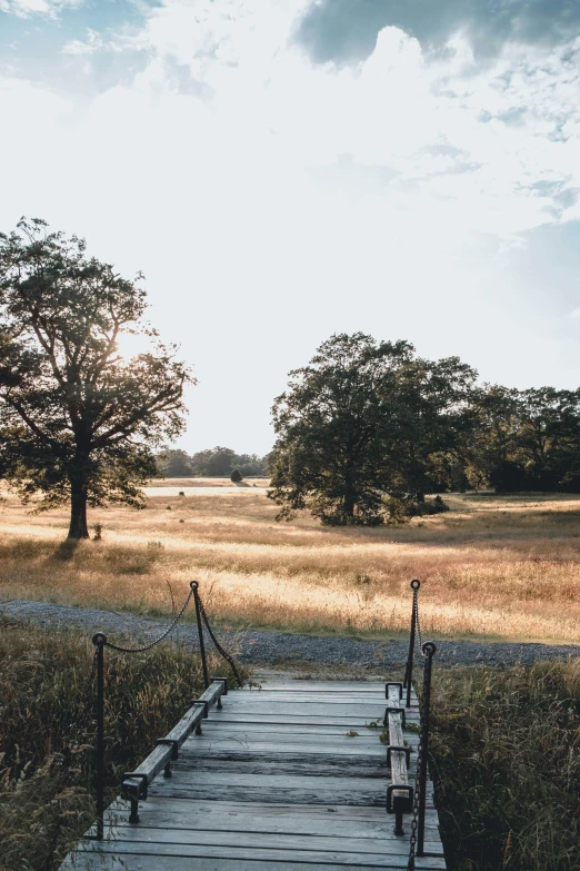 a wooden bridge in the middle of a field, by Jesper Knudsen, unsplash, land art, late summer evening, tall broad oaks, steps, near farm