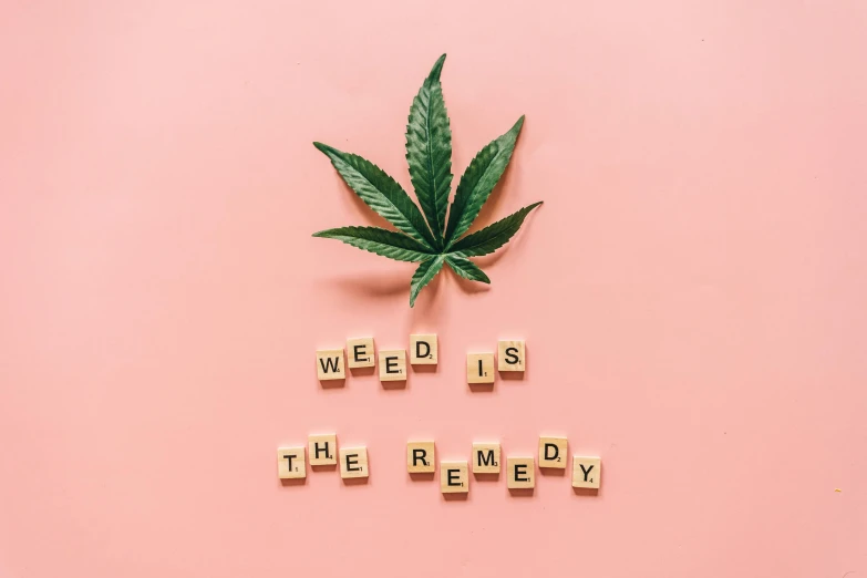a marijuana leaf sitting on top of a pink surface, inspired by Mary Jane Begin, trending on pexels, remodernism, funny jumbled letters, we, wedding, weave