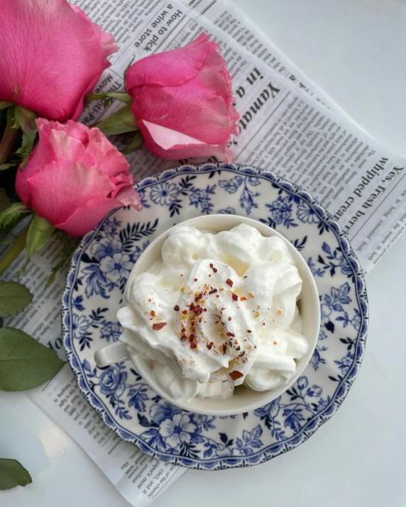 a blue and white plate topped with whipped cream, by Lucia Peka, pexels contest winner, rococo, 🌸 🌼 💮, arabica style, chili, thumbnail