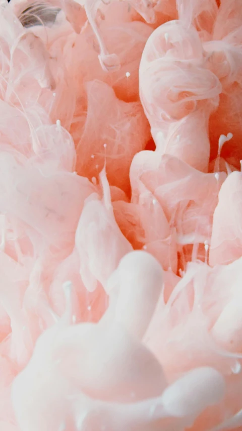 a close up of a pink substance in water, inspired by Yanjun Cheng, trending on unsplash, ruffled fabric, cream, 15081959 21121991 01012000 4k, made of wax and water