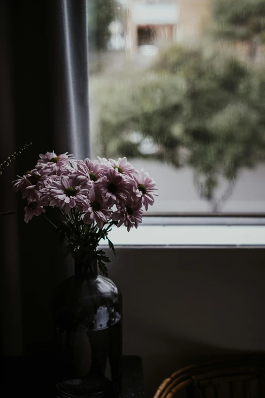 a vase of flowers sitting on a table in front of a window, inspired by Elsa Bleda, unsplash contest winner, dark overcast weather, flowers growing out of its head, morning haze, looking off to the side