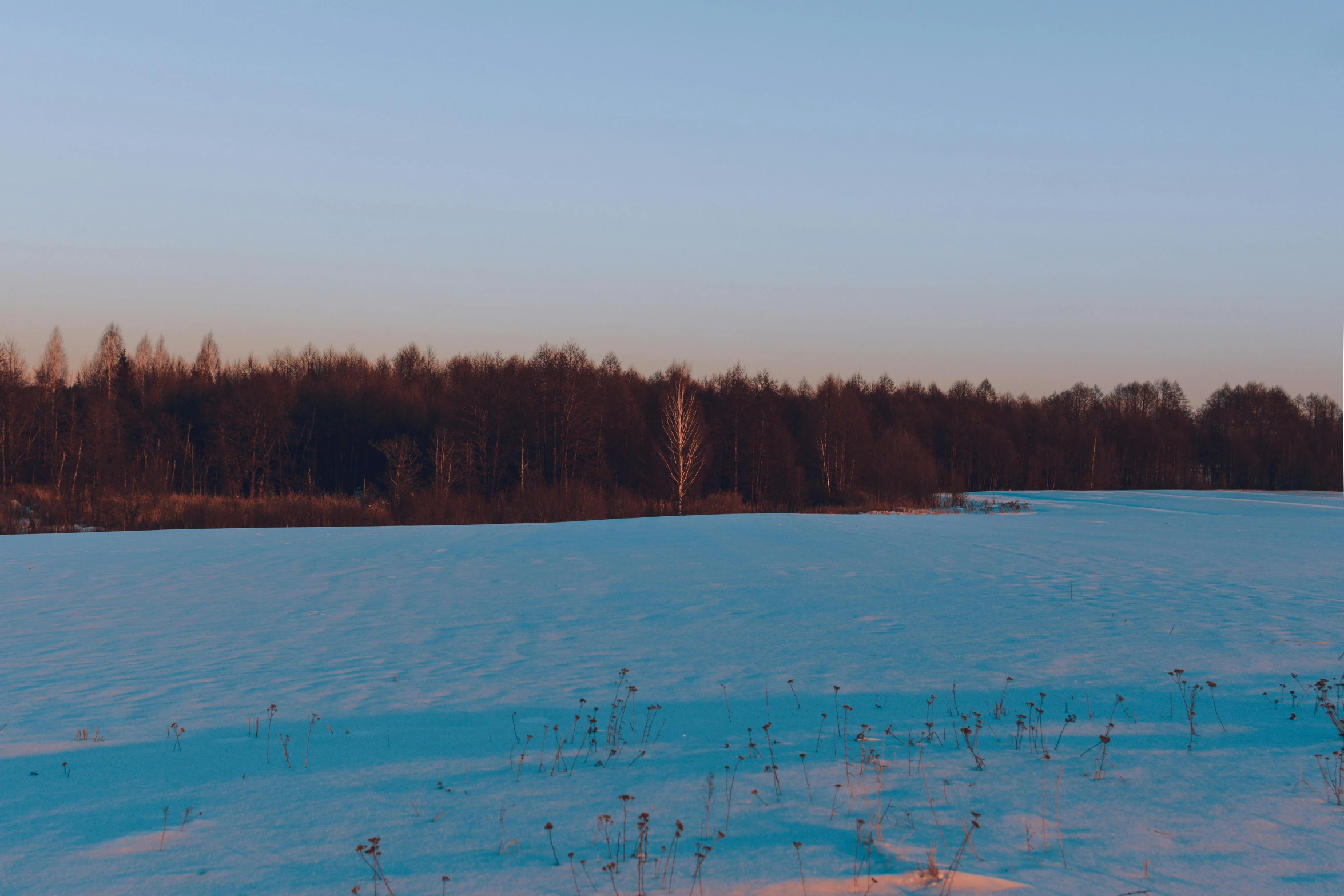 a red fire hydrant sitting in the middle of a snow covered field, inspired by Isaac Levitan, pexels contest winner, land art, sunset panorama, blue, distant forest, ground - level medium shot