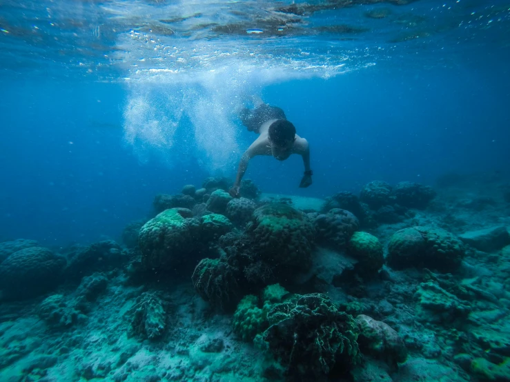 a person swimming in a body of water, coral sea bottom, liam brazier, miles johnstone, blue