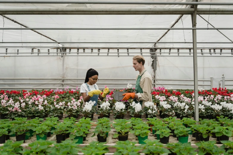 a couple of women standing next to each other in a greenhouse, picking up a flower, liam brazier, customers, thumbnail