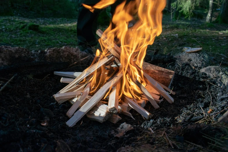 a person standing next to a fire in the woods, by Helen Stevenson, unsplash, land art, barbecuing chewing gum, middle close up shot, fire from sky, a wooden