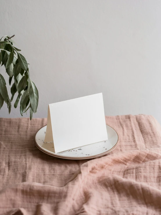 a card sitting on top of a plate next to a plant, by Rebecca Horn, white cloth, product display photograph, soft light from the side, pink