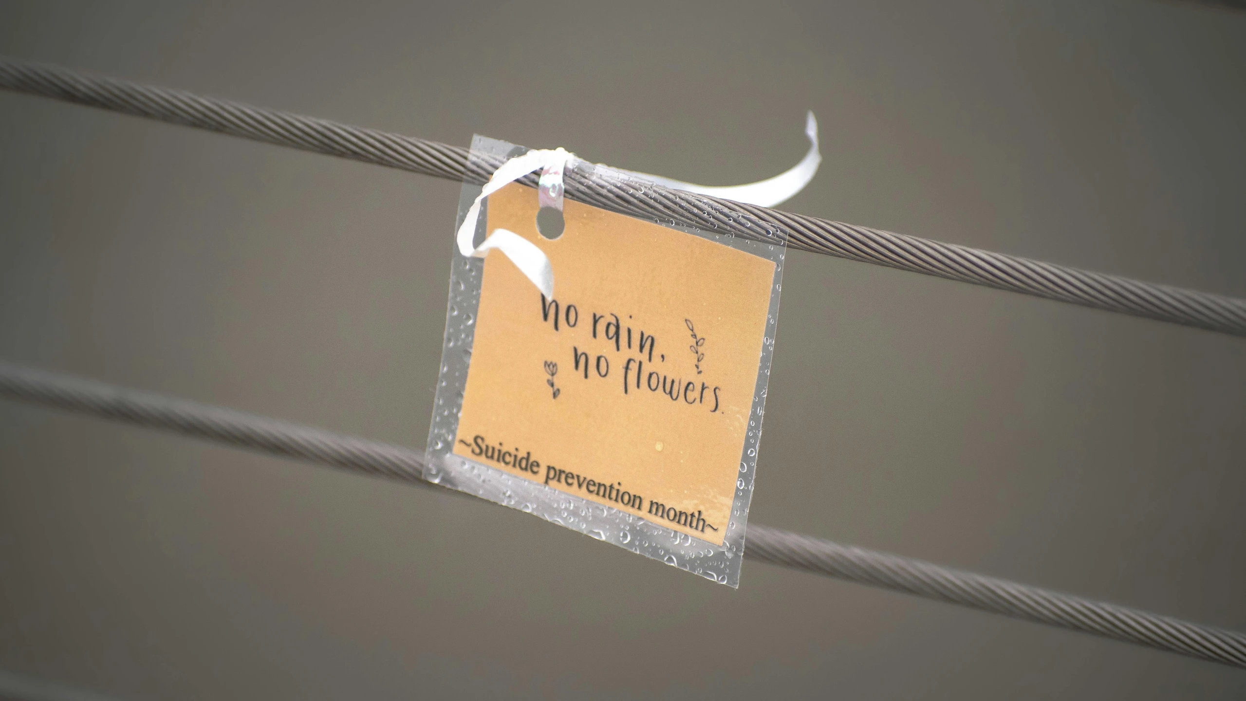 a close up of a sign on a wire, by Rachel Reckitt, edible flowers, rain falling, product label, no text