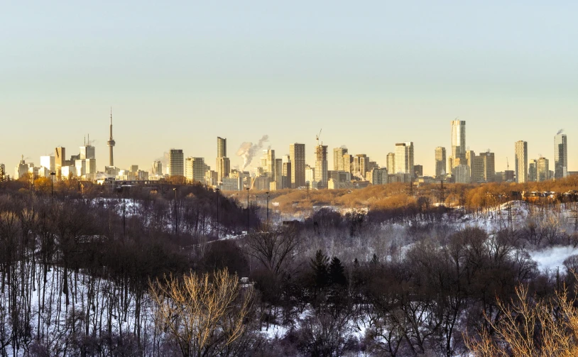 a view of a city from the top of a hill, inspired by Édouard Detaille, pexels contest winner, surrealism, toronto, winter photograph, ultrawide landscape, forest setting with skyscrapers