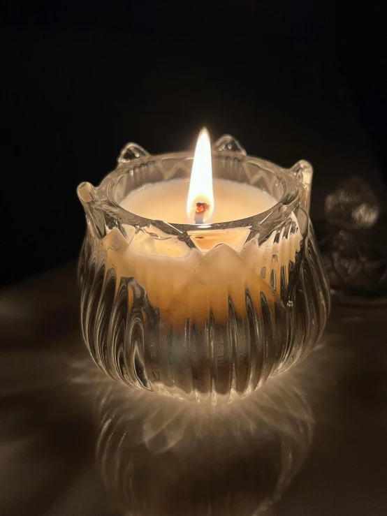 a lit candle sitting on top of a table, iris van herpen, medium gargoyle soft light, highly detailed product photo, queen in a glass prison