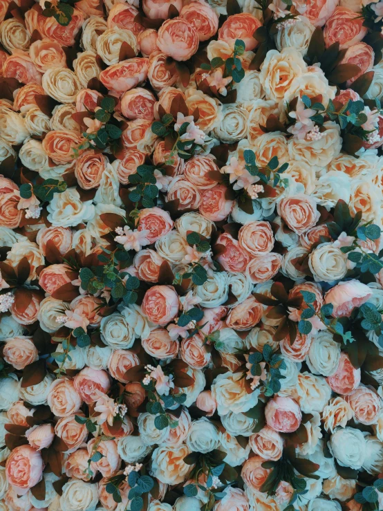 a close up of a bunch of flowers, by Robbie Trevino, trending on unsplash, romanticism, peach embellishment, multiple stories, roses background, low quality photo