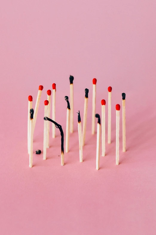 a group of matches sitting on top of a pink surface, by Lee Gatch, auto-destructive art, profile image, small, album, animals