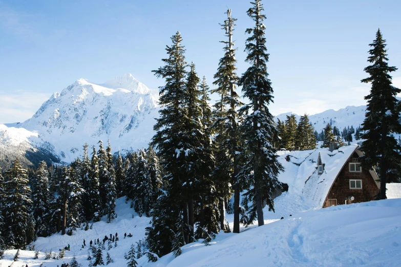 a cabin sitting on top of a snow covered slope, a photo, cascadia, avatar image, trees in foreground, conde nast traveler photo