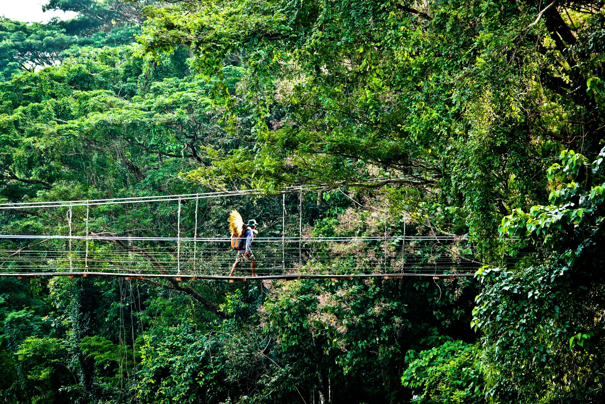 a man walking across a suspension bridge in the jungle, 🦩🪐🐞👩🏻🦳, exclusive, fully covered, cr3