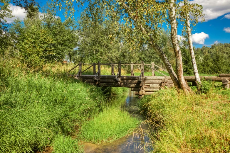 a small wooden bridge over a small stream, a portrait, inspired by Ivan Shishkin, shutterstock, meadows, village, distant photo