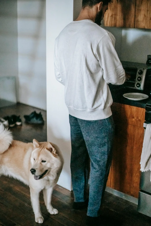 a man standing in a kitchen next to a dog, by Niko Henrichon, trending on unsplash, pants, japanese dog, gif, comfy