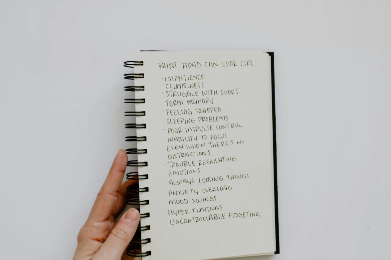a close up of a person's hand holding a notebook, unsplash, a list cast, realistic », lost look, with a white background