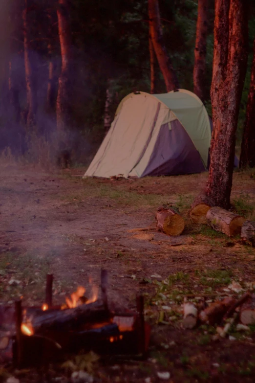 a tent sitting in the middle of a forest next to a fire, cinematic shot ar 9:16 -n 6 -g, rectangle, a wooden, basic