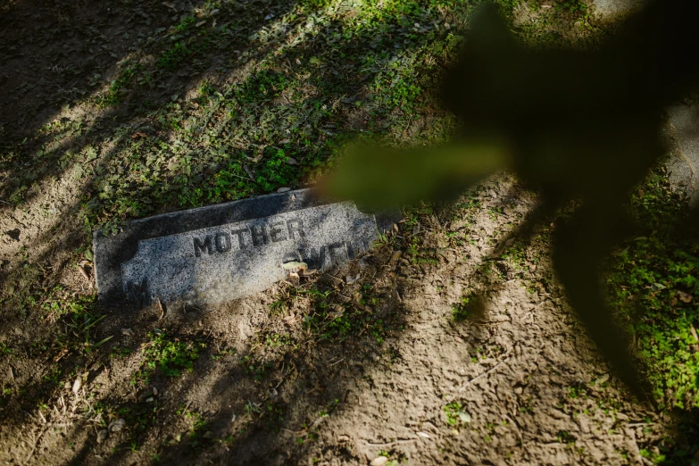 a tombstone sitting in the middle of a field, an album cover, unsplash, mother, ignant, dirt, sign