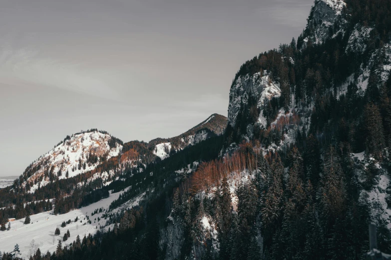 a mountain covered in snow next to a forest, unsplash contest winner, minimalism, steep cliffs, brown, dark pine trees, slightly pixelated