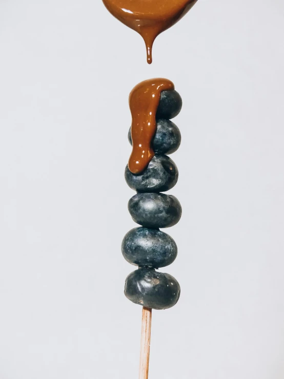 a close up of a hot dog on a stick, by Ellen Gallagher, new sculpture, blueberries, brown resin, dark blue + dark orange, hanging
