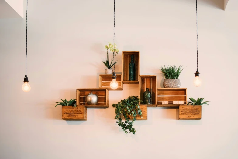 a bunch of planters that are on a wall, trending on pexels, minimalism, floating lights, wooden crates, retro stylised, shelf