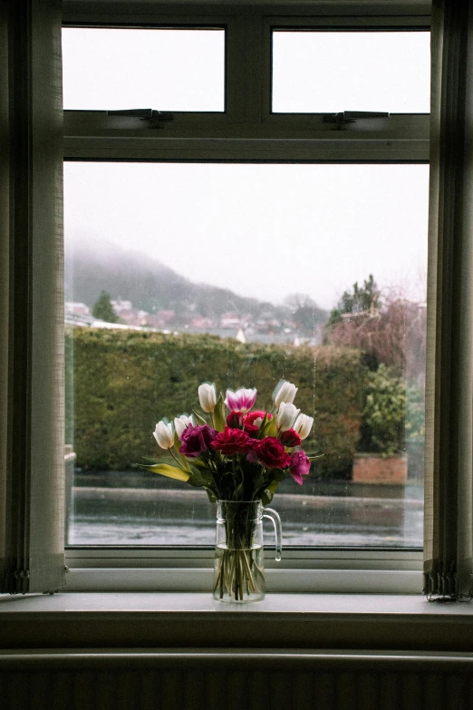 a vase of flowers sitting on a window sill, inspired by Thomas Struth, unsplash, rain stormy fog, hills, wellington, roses and tulips