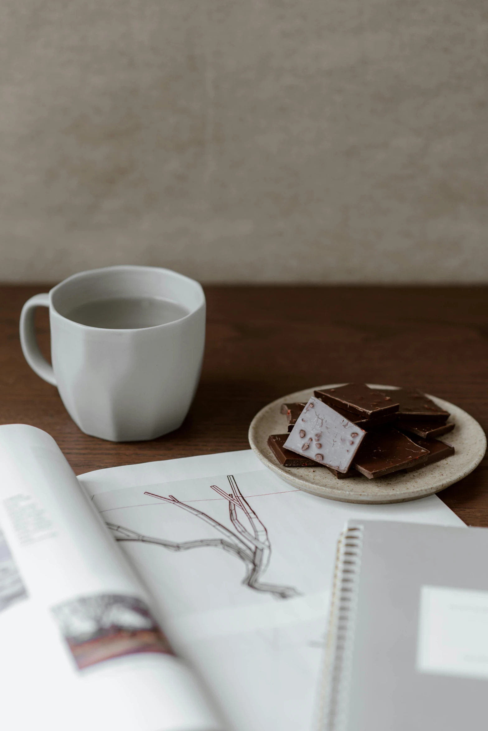 an open book sitting on top of a table next to a cup of coffee, inspired by Constantin Hansen, visual art, marshmallow graham cracker, white clay, chocolate, japanese collection product